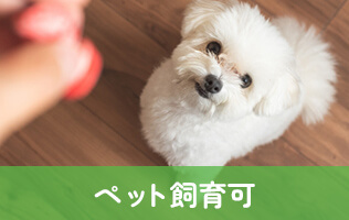 ペット飼育可